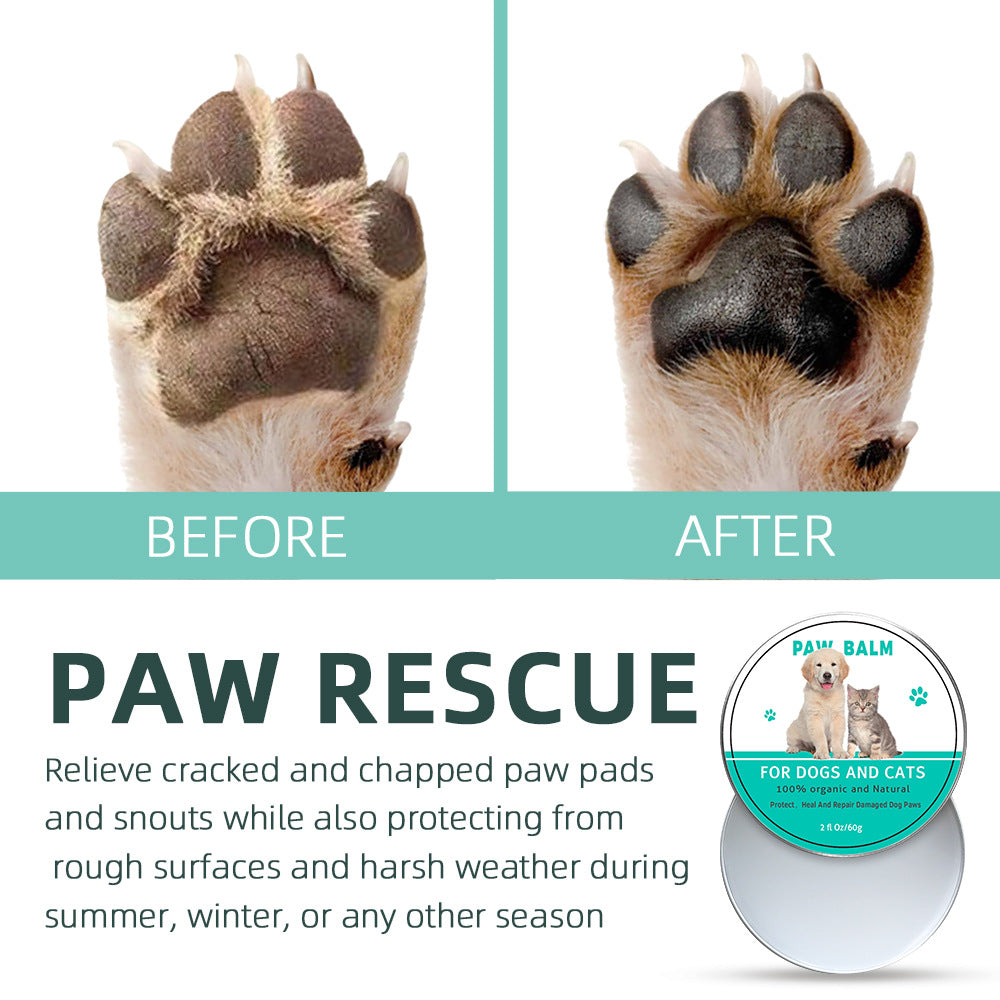 All-Season Organic Paw Balm for Dogs & Cats — Protects, Heals & Soothes Dry Paws