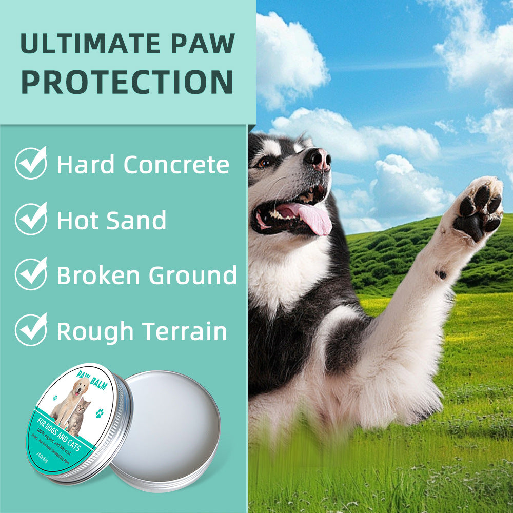 All-Season Organic Paw Balm for Dogs & Cats — Protects, Heals & Soothes Dry Paws